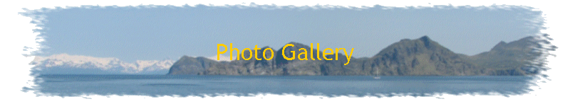 Photo Gallery